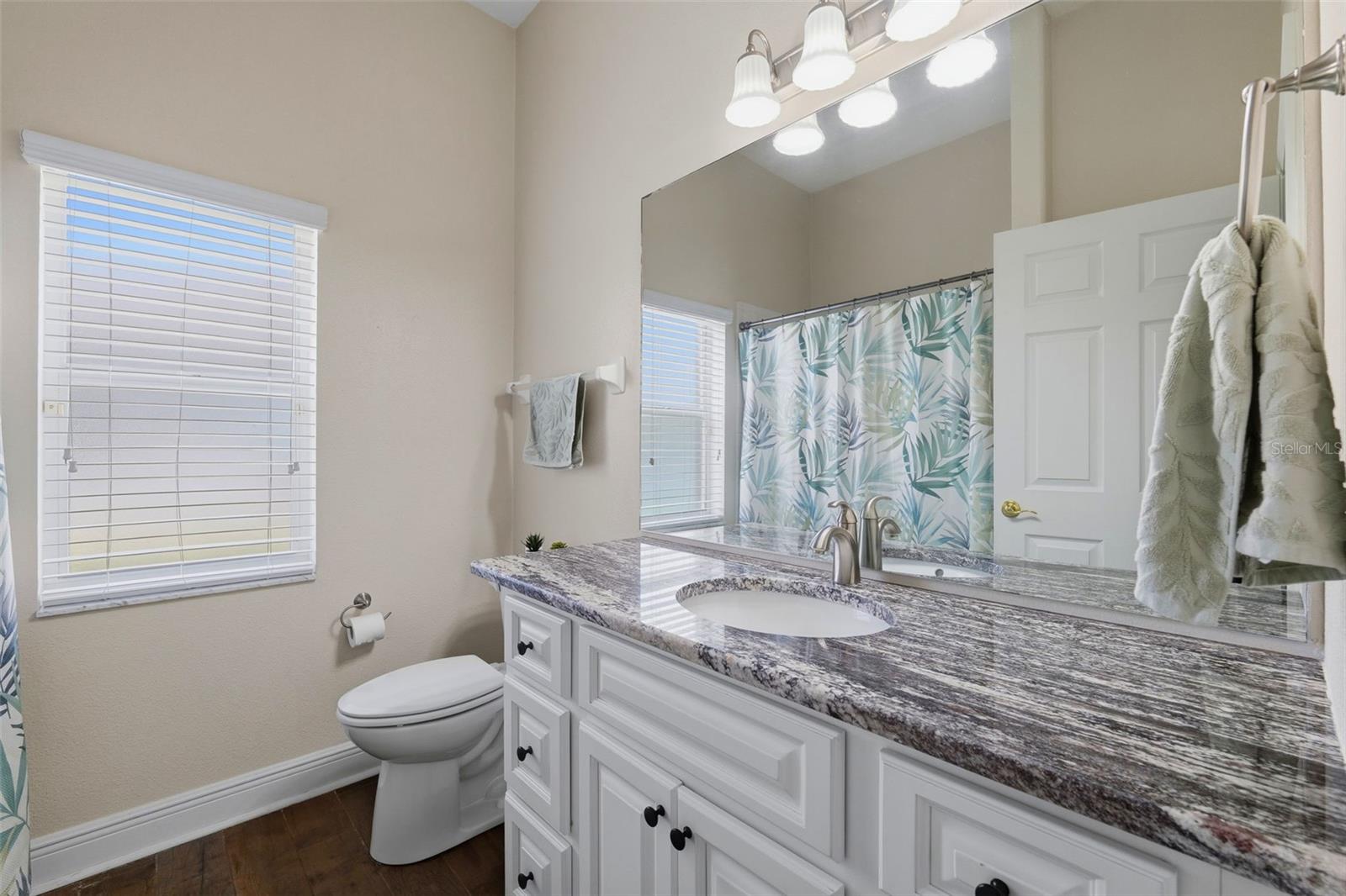 2120 FLAMEFLOWER CT, TRINITY, FL, 34655