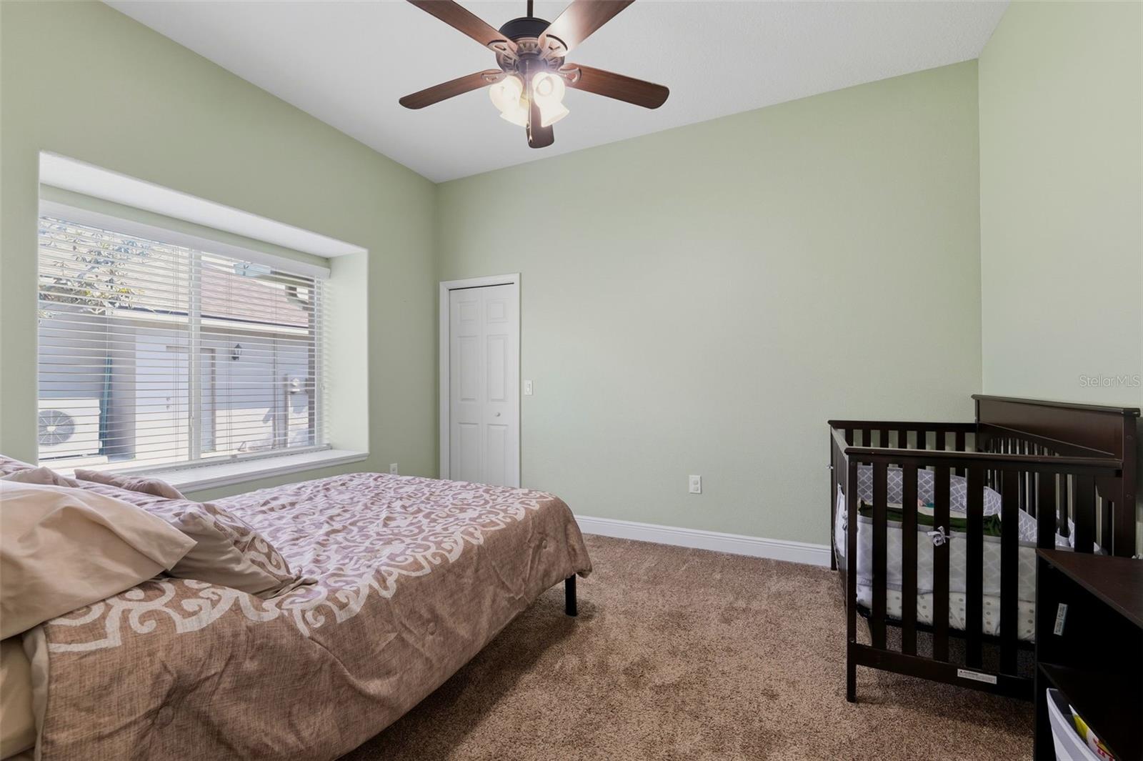 2120 FLAMEFLOWER CT, TRINITY, FL, 34655