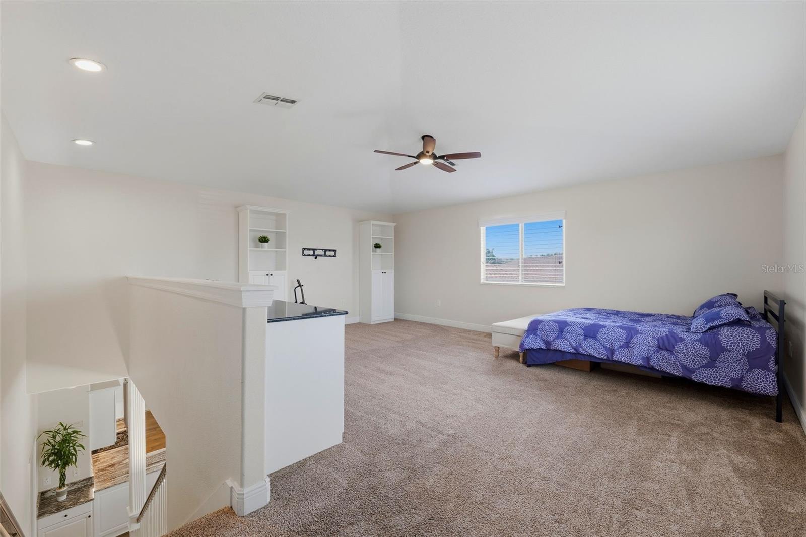 2120 FLAMEFLOWER CT, TRINITY, FL, 34655
