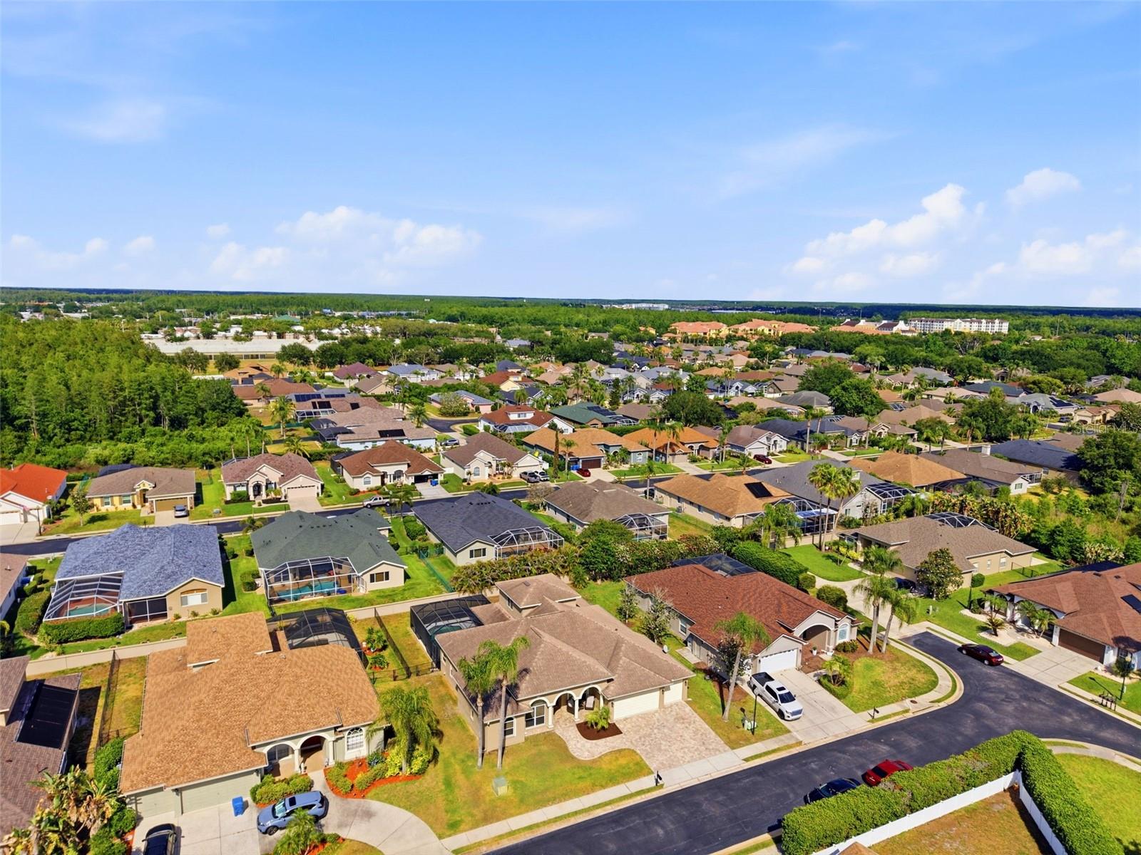 2120 FLAMEFLOWER CT, TRINITY, FL, 34655