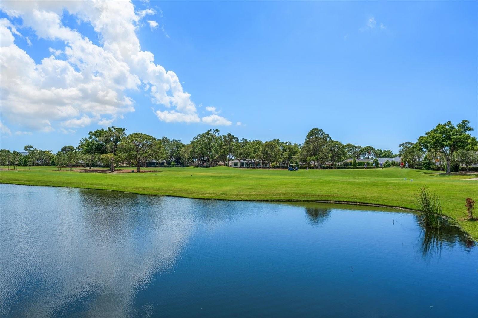 19 HIBISCUS RD, BELLEAIR, FL, 33756