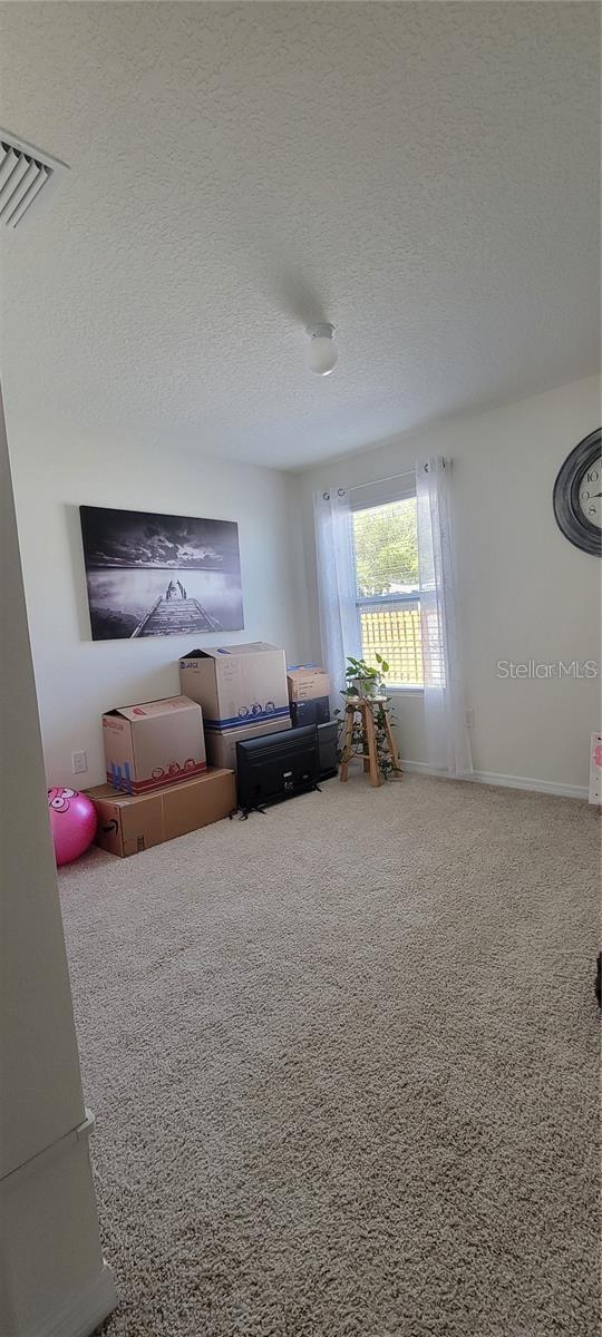 19688 NW 229TH ST, HIGH SPRINGS, FL, 32643