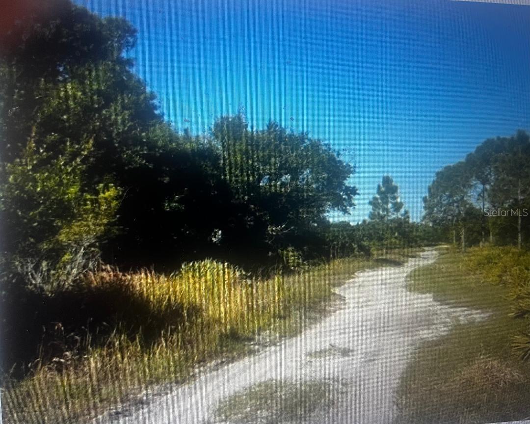 733 N TARRY LN, LORIDA, FL, 33857