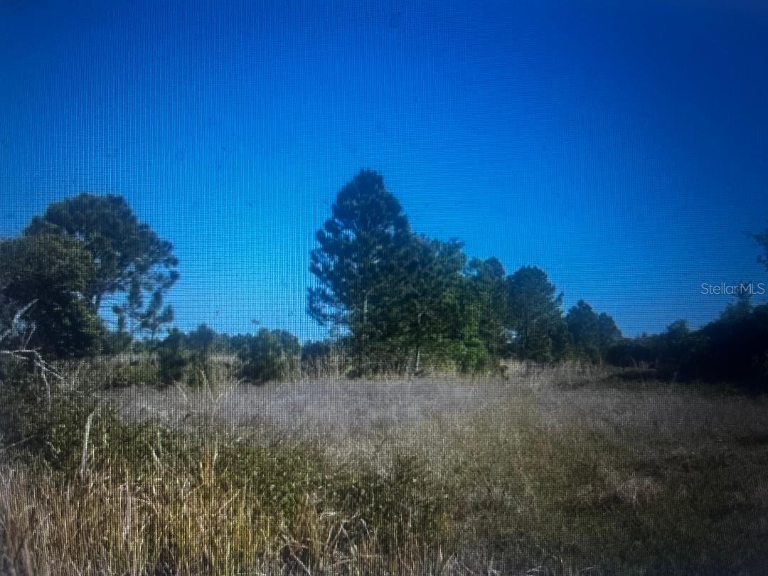 733 N TARRY LN, LORIDA, FL, 33857