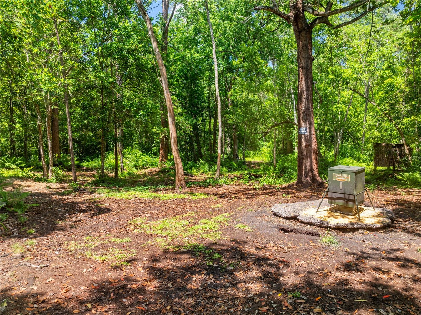 5585 PALM AVE, OKEECHOBEE, FL, 34972