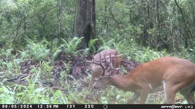 5585 PALM AVE, OKEECHOBEE, FL, 34972