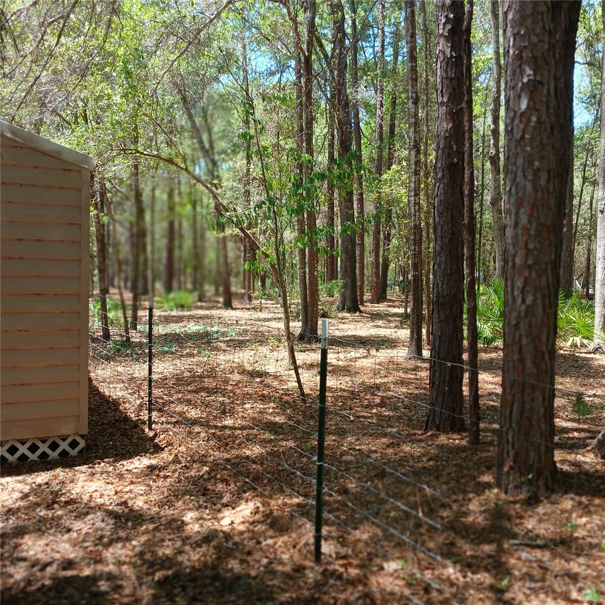 7899 W FOSTORIA DR, DUNNELLON, FL, 34433