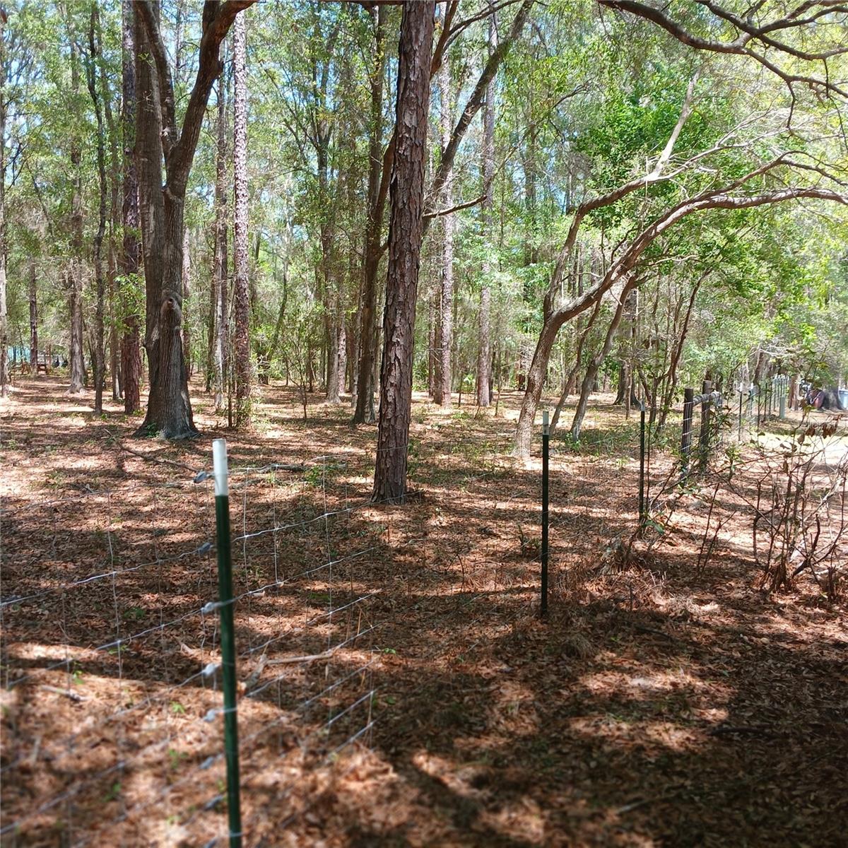 7899 W FOSTORIA DR, DUNNELLON, FL, 34433