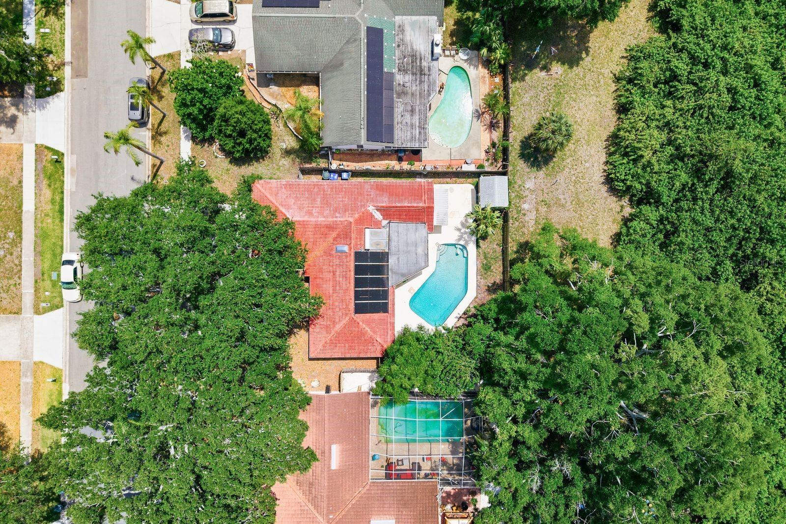 1771 RANCHWOOD DR S, DUNEDIN, FL, 34698