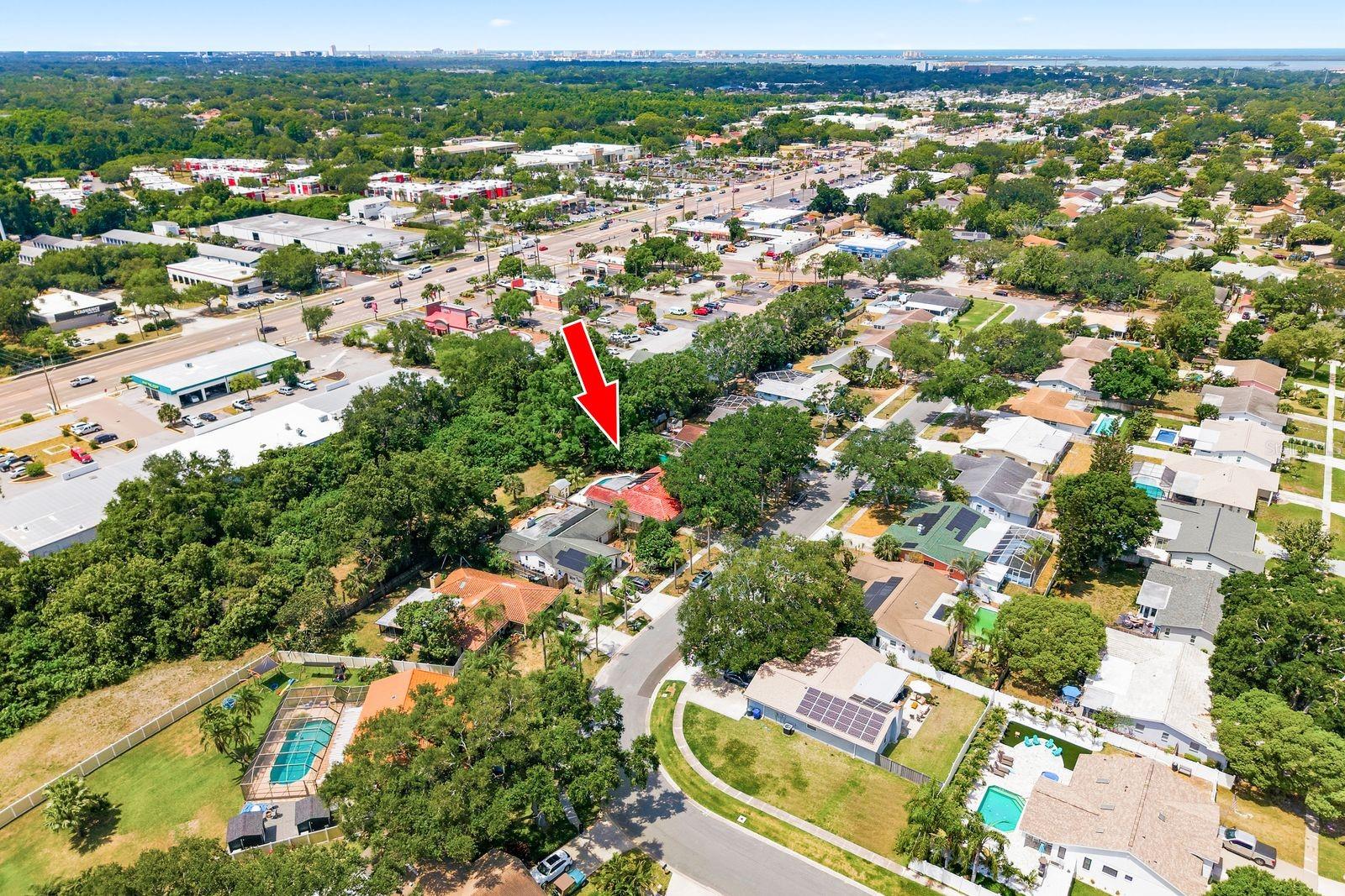 1771 RANCHWOOD DR S, DUNEDIN, FL, 34698