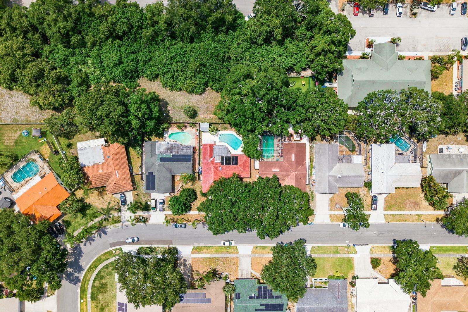 1771 RANCHWOOD DR S, DUNEDIN, FL, 34698