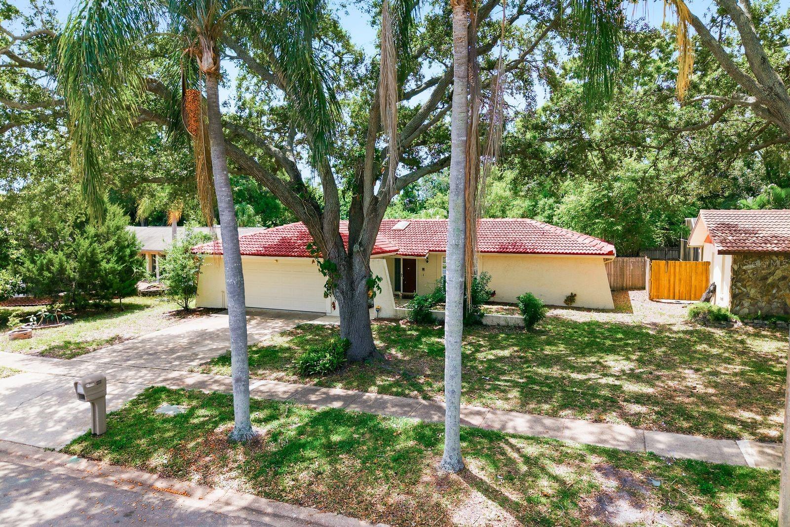 1771 RANCHWOOD DR S, DUNEDIN, FL, 34698