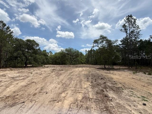 8373 NW 26TH ST, WILDWOOD, FL, 34785