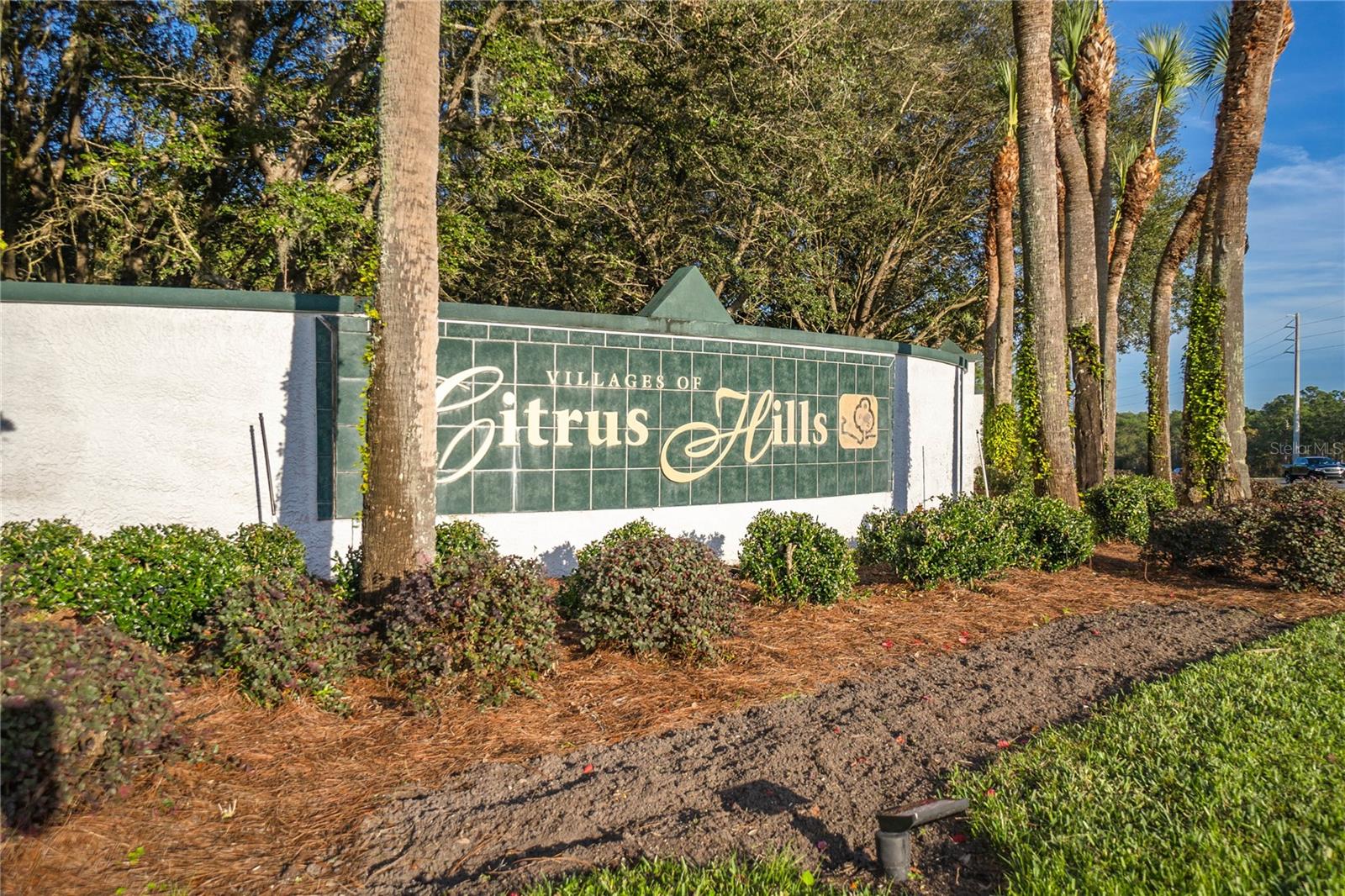 2163 N BRENTWOOD CIR, LECANTO, FL, 34461