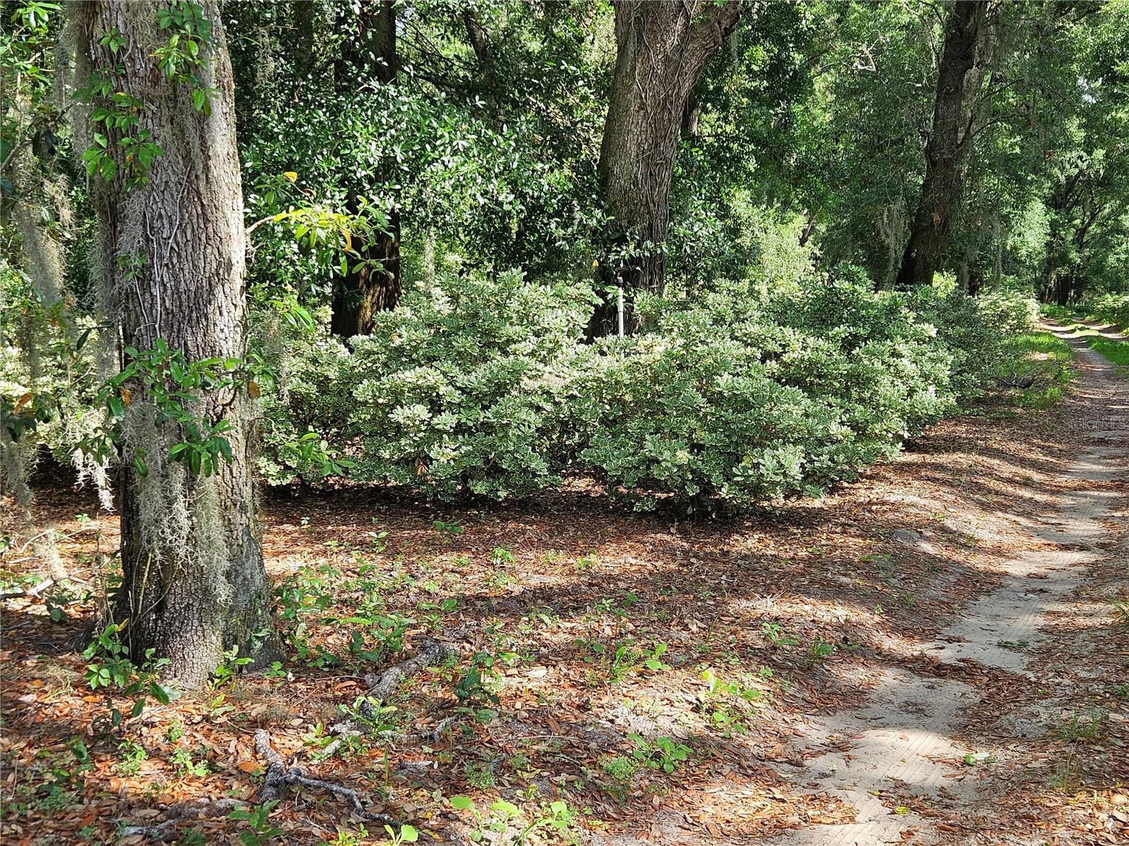 BURNSED RD, PIERSON, FL, 32180