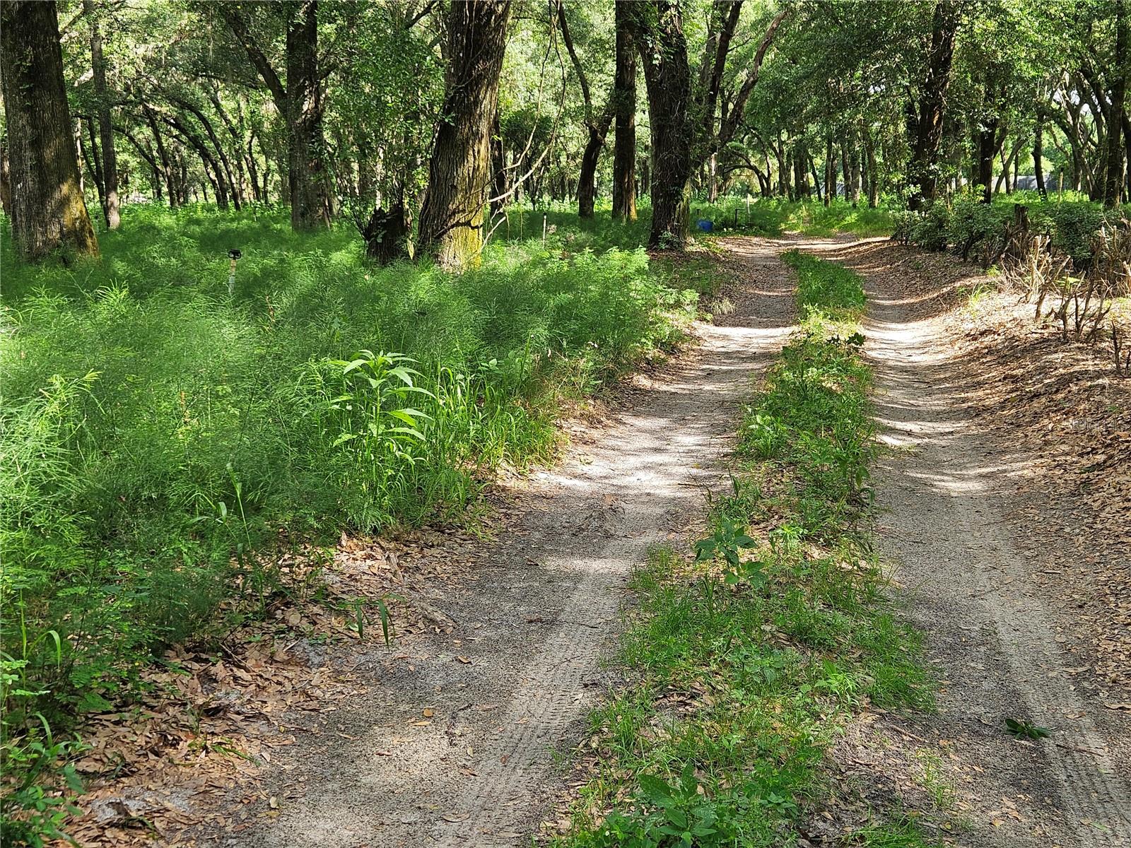 BURNSED RD, PIERSON, FL, 32180