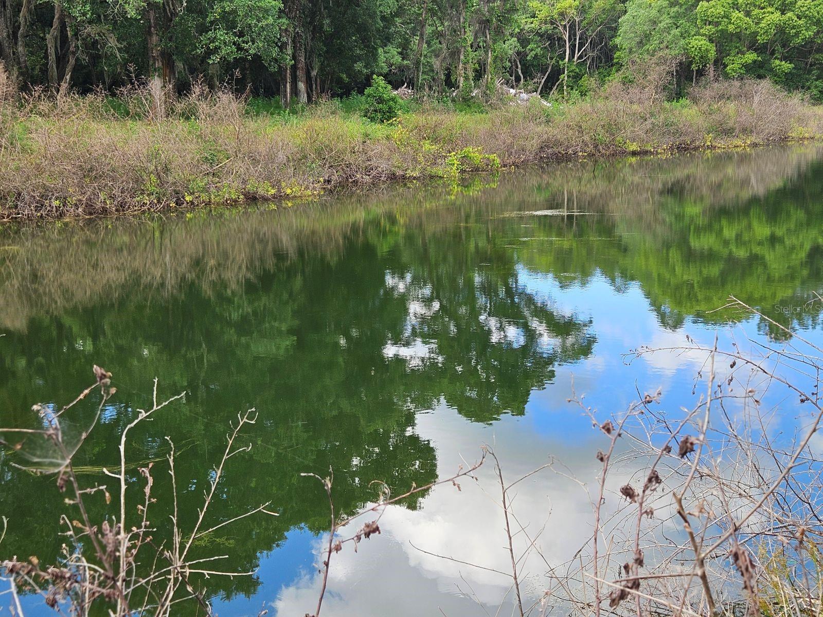 BURNSED RD, PIERSON, FL, 32180