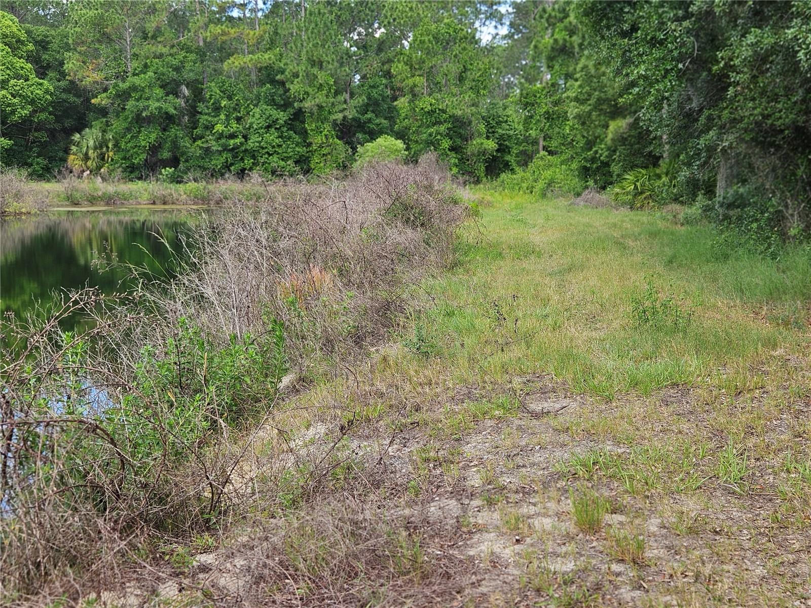 BURNSED RD, PIERSON, FL, 32180