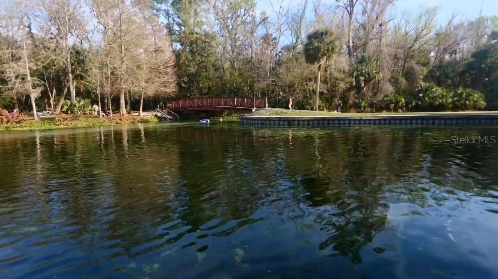 30621 PRESTWICK AVE, SORRENTO, FL, 32776
