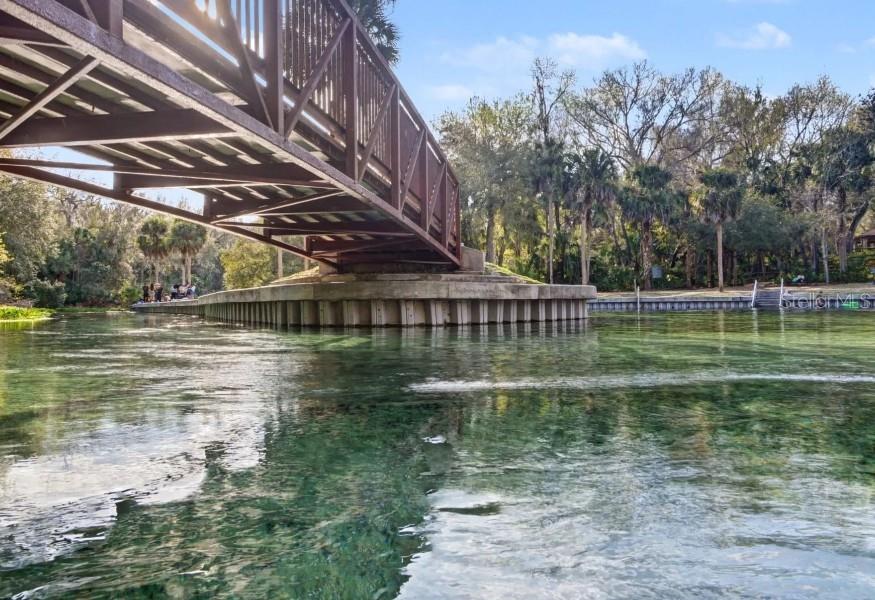 30621 PRESTWICK AVE, SORRENTO, FL, 32776