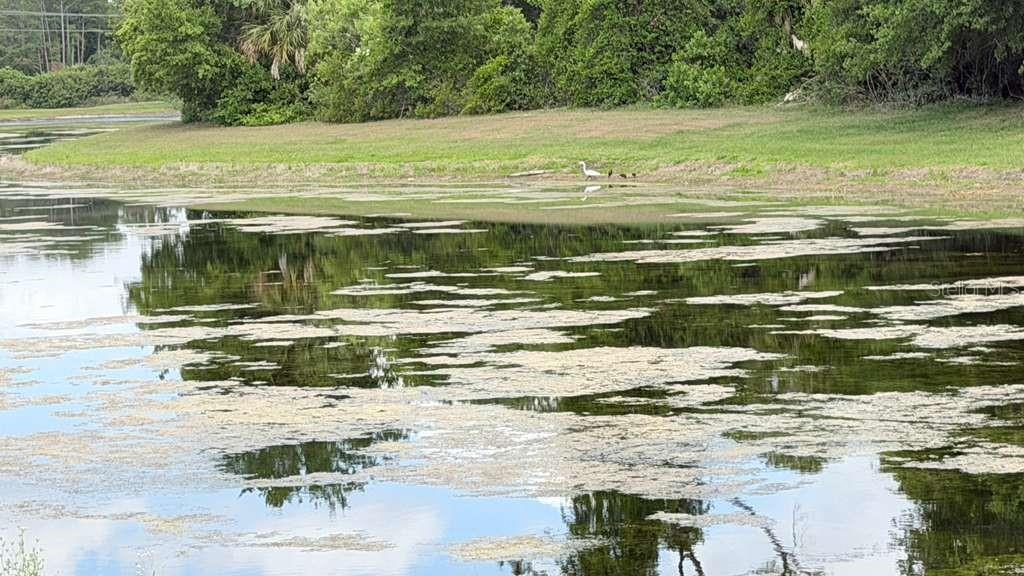 5233 DOVE TREE ST, ORLANDO, FL, 32811