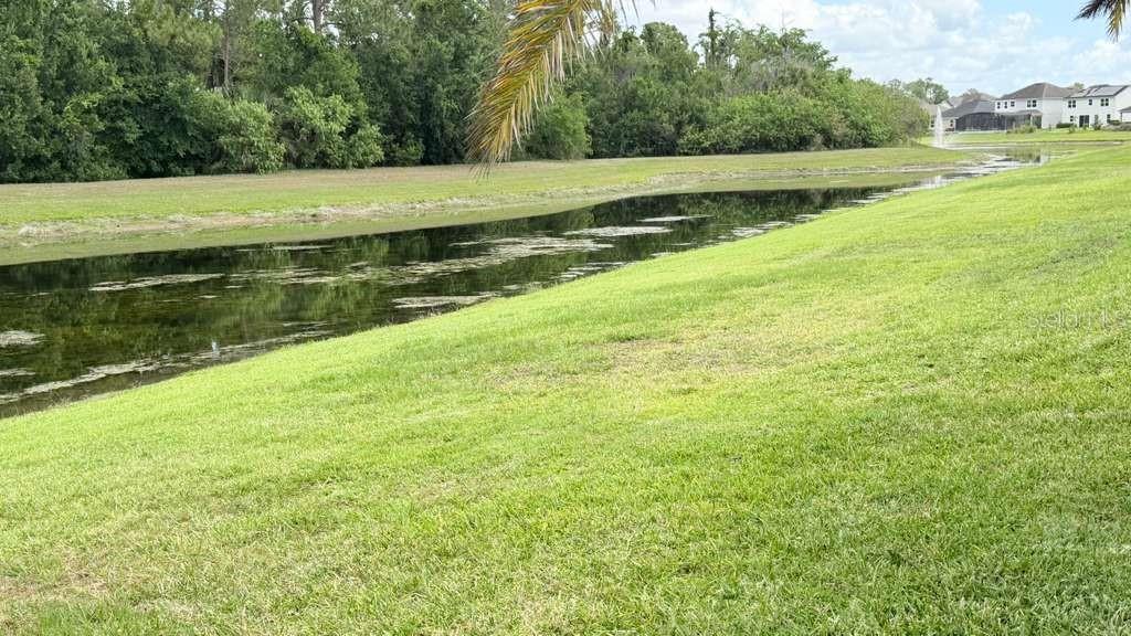 5233 DOVE TREE ST, ORLANDO, FL, 32811