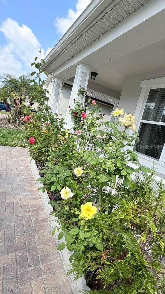 5233 DOVE TREE ST, ORLANDO, FL, 32811