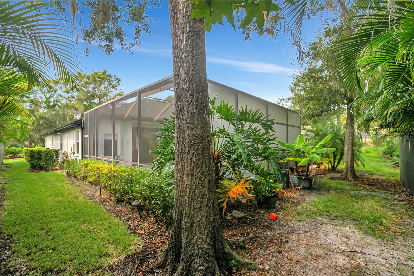 808 RIVER HAMMOCK BLVD, BRANDON, FL, 33511