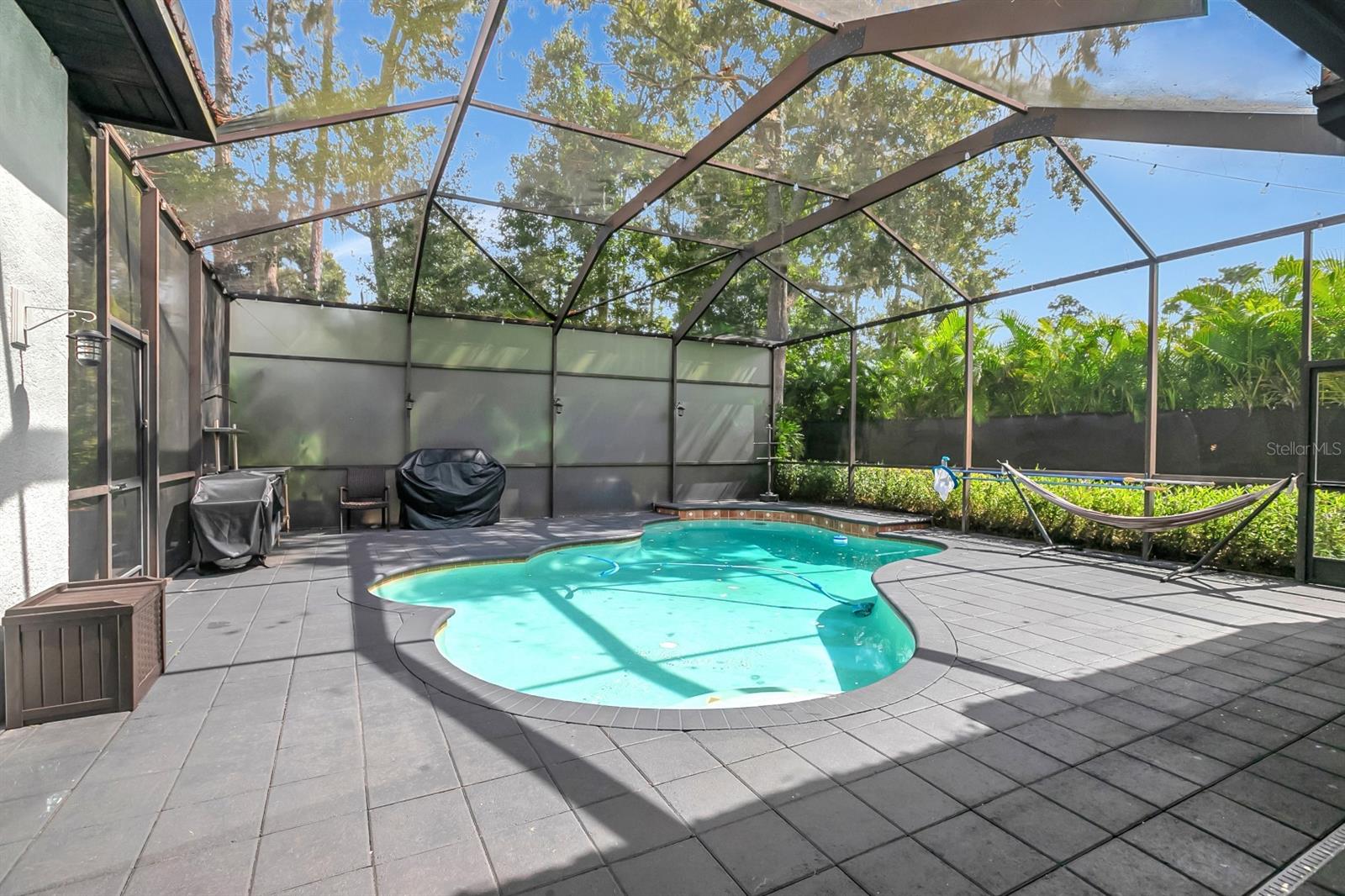 808 RIVER HAMMOCK BLVD, BRANDON, FL, 33511