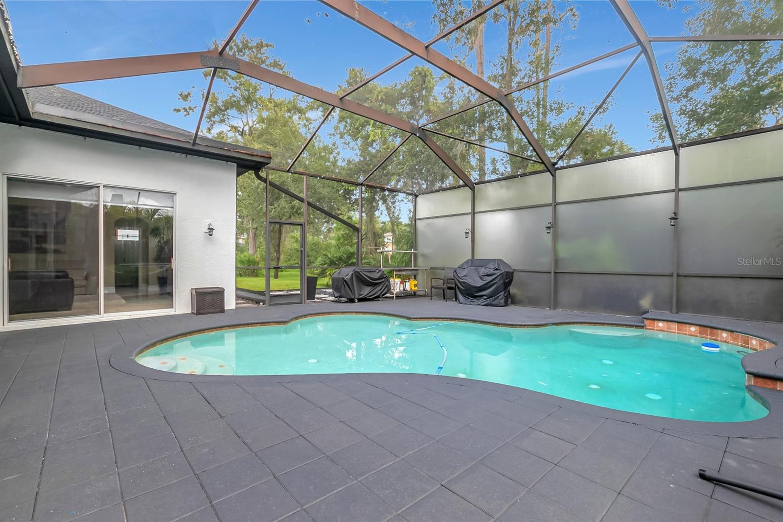808 RIVER HAMMOCK BLVD, BRANDON, FL, 33511