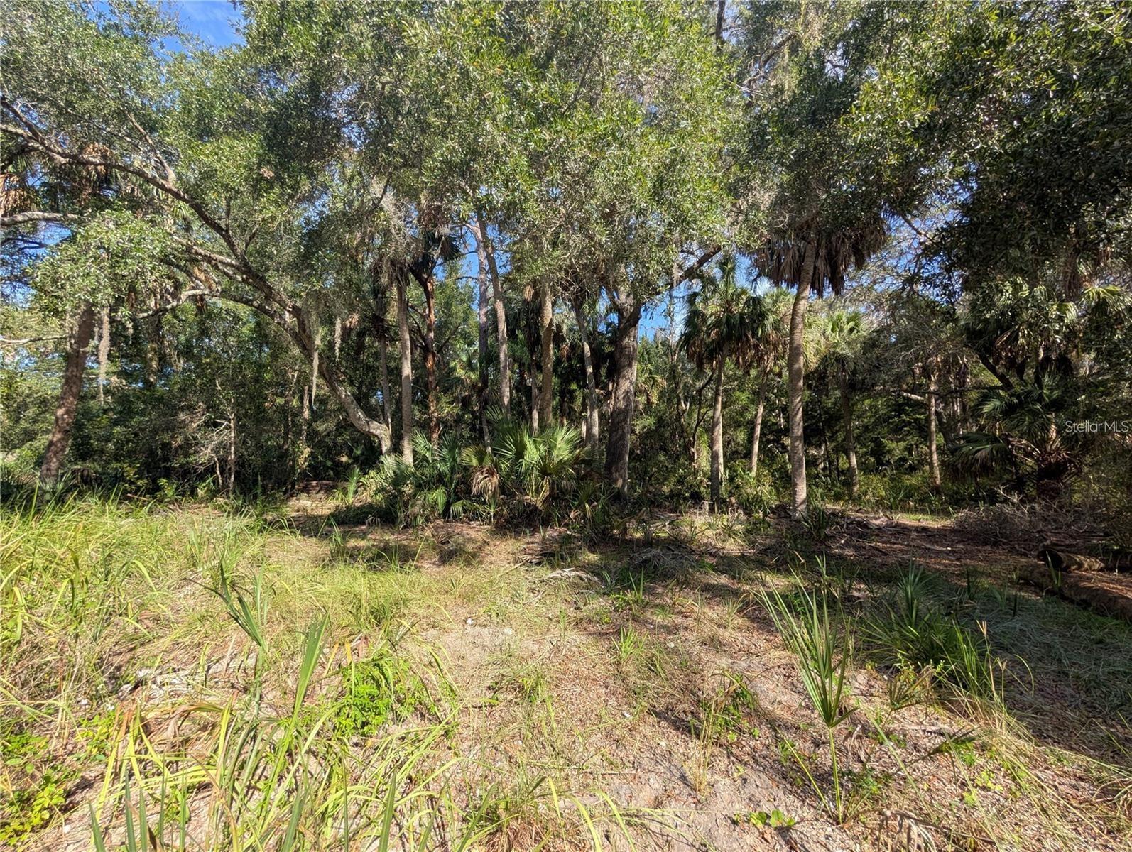 11009 N WITHLA BLUFF PT, INGLIS, FL, 34449