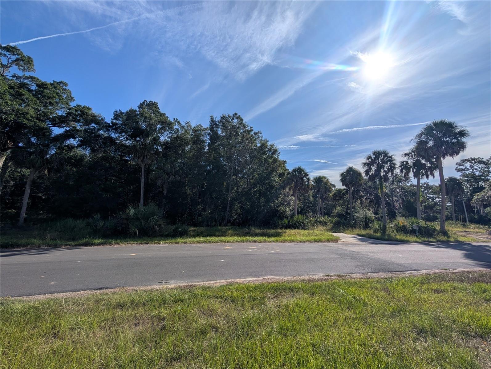 11009 N WITHLA BLUFF PT, INGLIS, FL, 34449