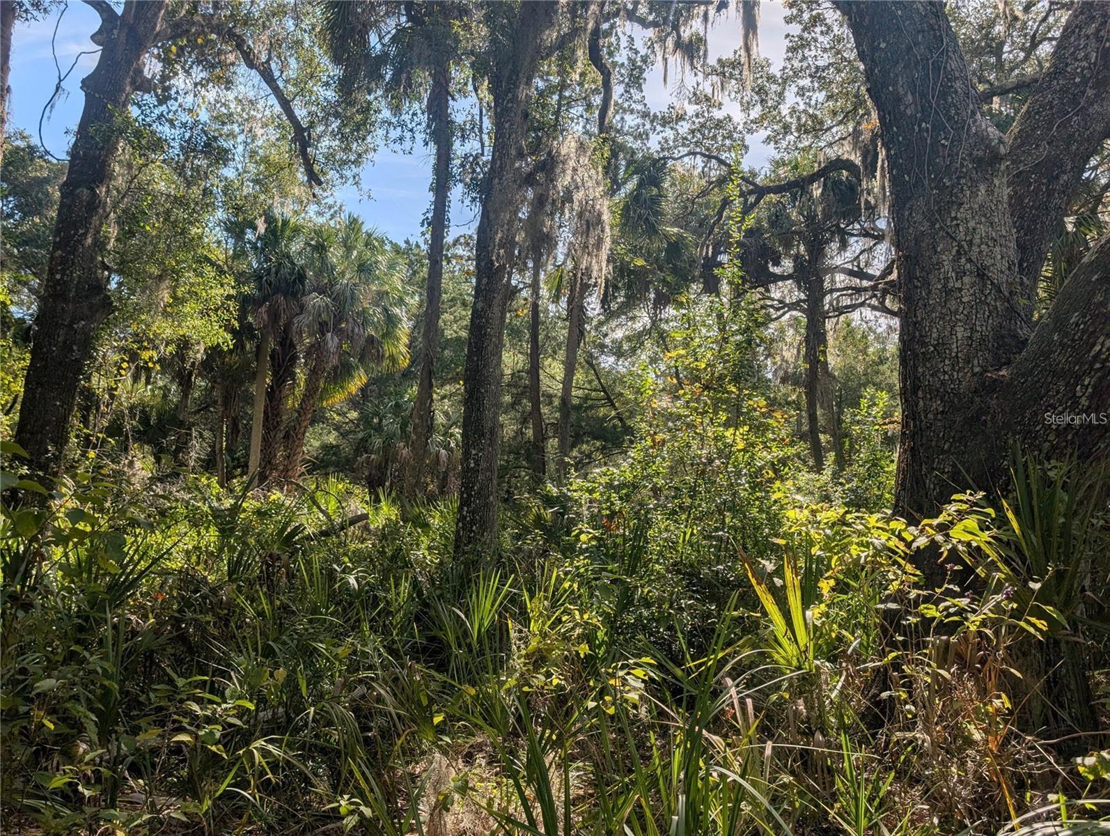 11009 N WITHLA BLUFF PT, INGLIS, FL, 34449