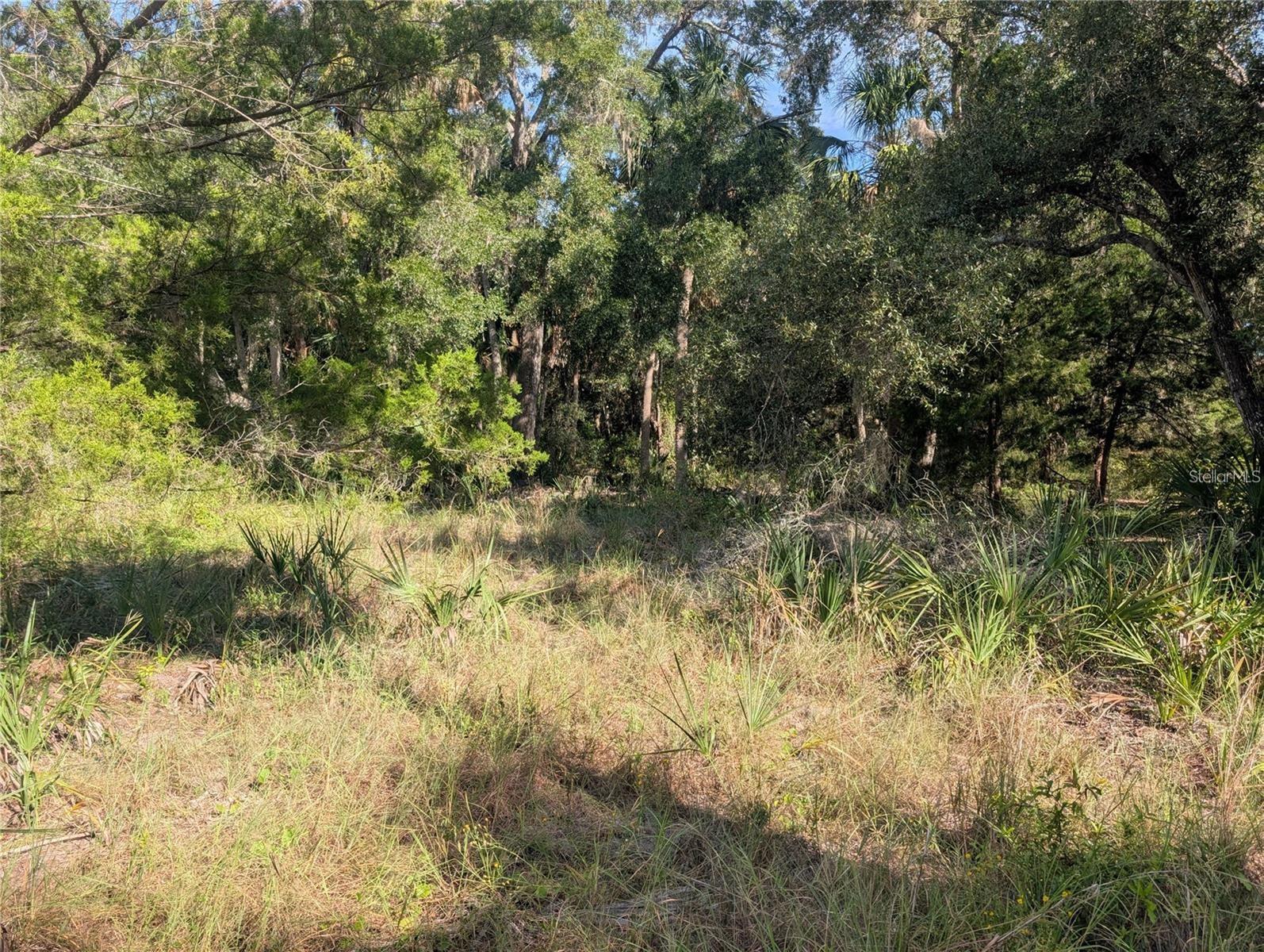 11009 N WITHLA BLUFF PT, INGLIS, FL, 34449