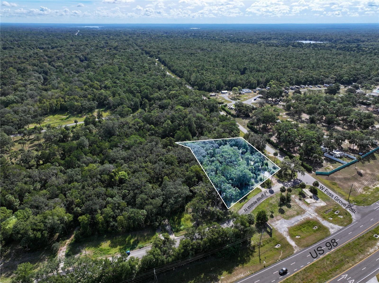 11009 N WITHLA BLUFF PT, INGLIS, FL, 34449