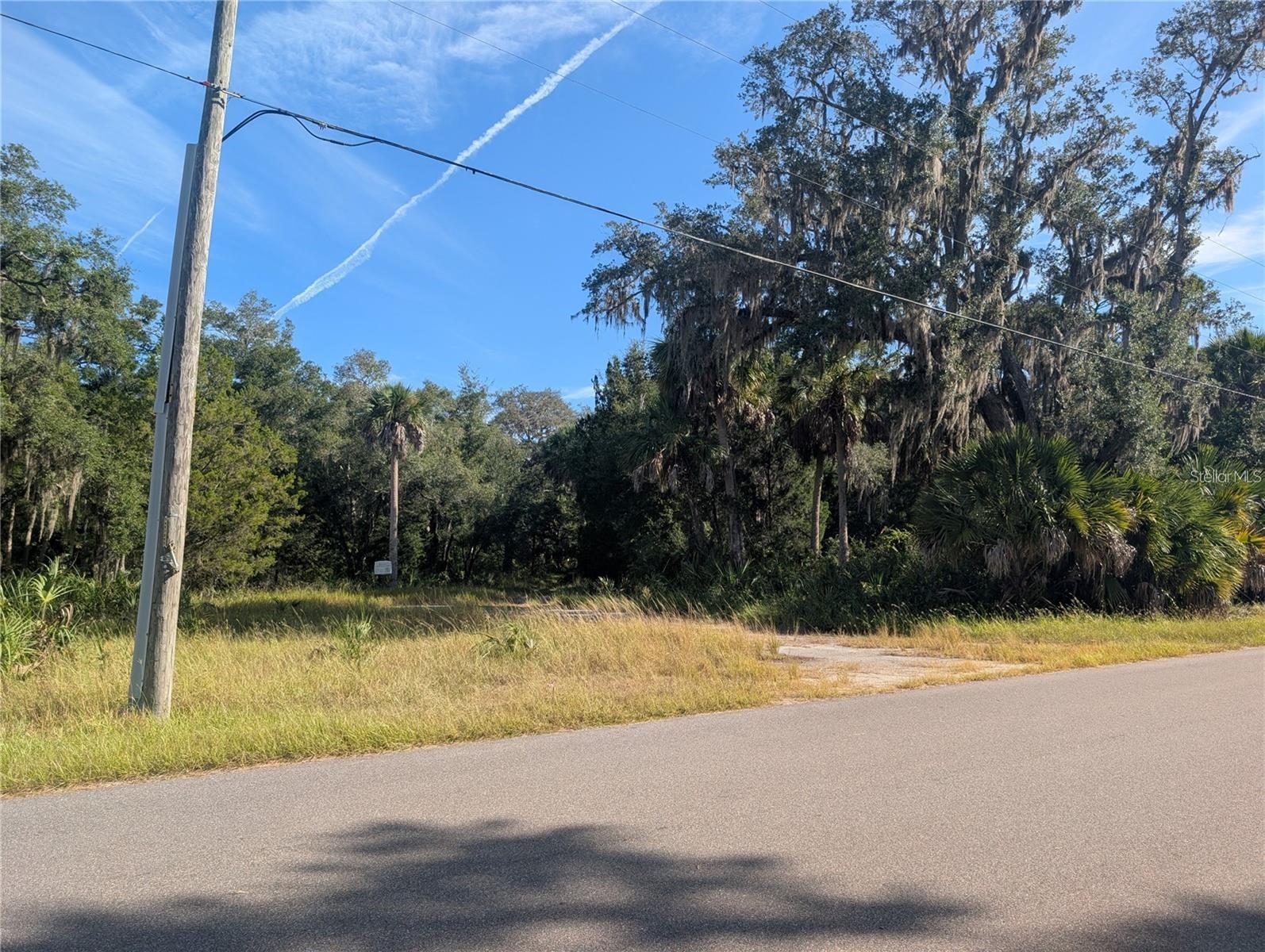 11009 N WITHLA BLUFF PT, INGLIS, FL, 34449