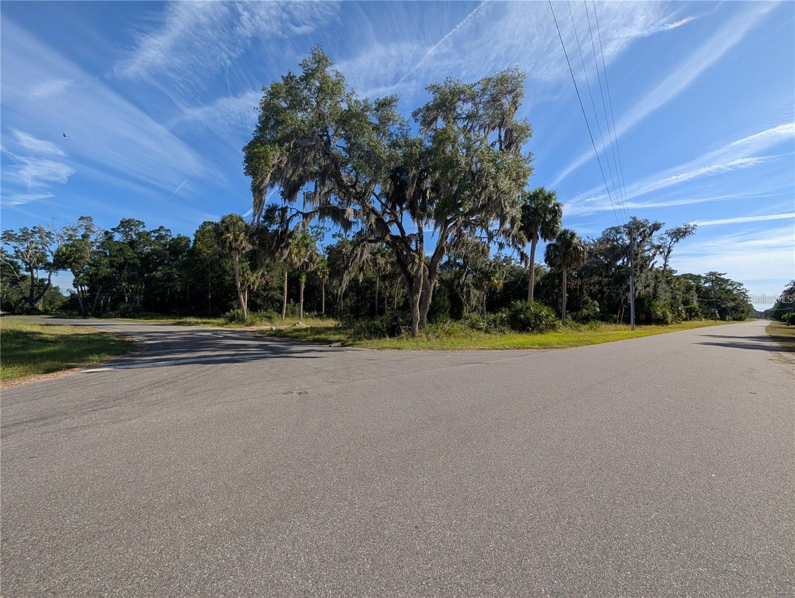 11009 N WITHLA BLUFF PT, INGLIS, FL, 34449