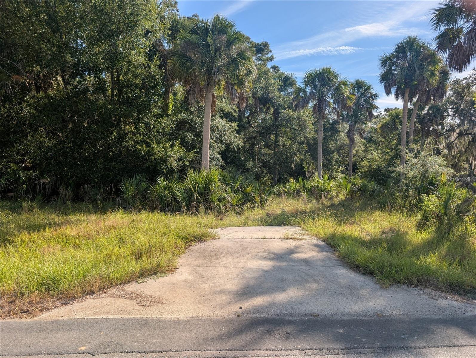 11009 N WITHLA BLUFF PT, INGLIS, FL, 34449