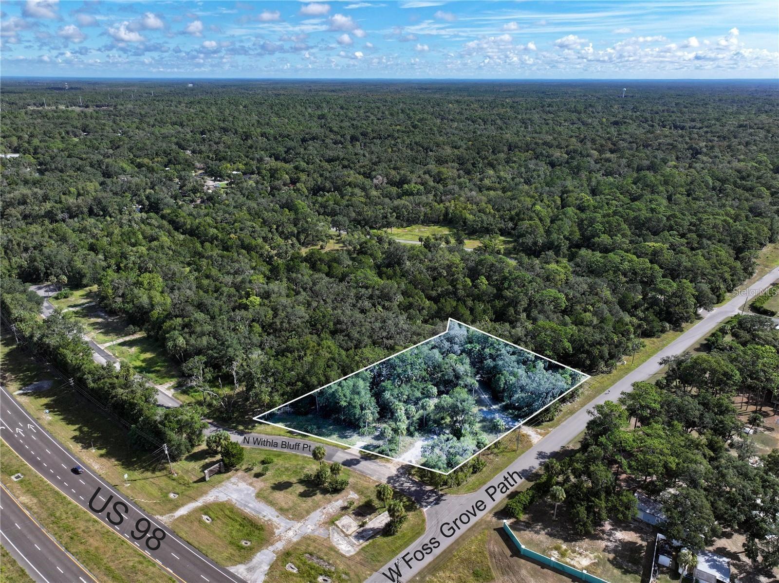 11009 N WITHLA BLUFF PT, INGLIS, FL, 34449