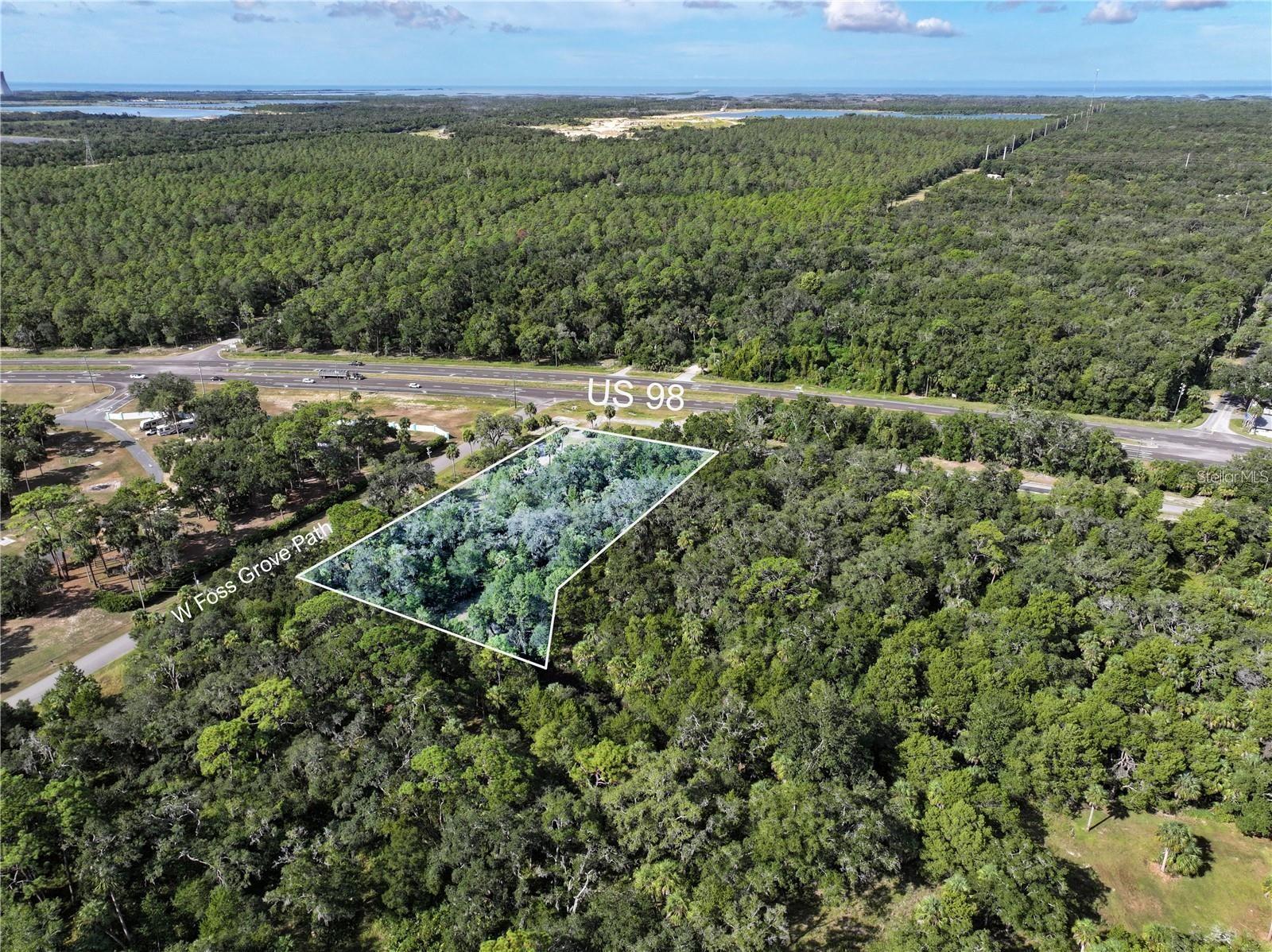 11009 N WITHLA BLUFF PT, INGLIS, FL, 34449