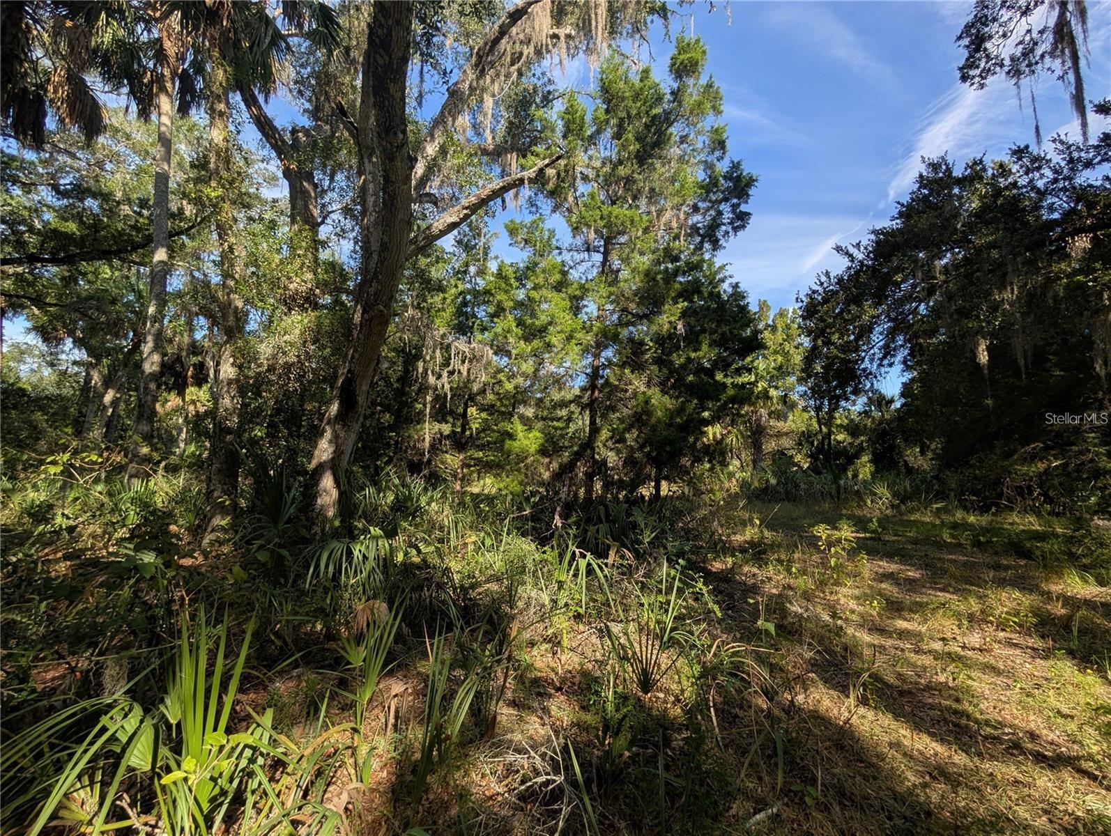11009 N WITHLA BLUFF PT, INGLIS, FL, 34449