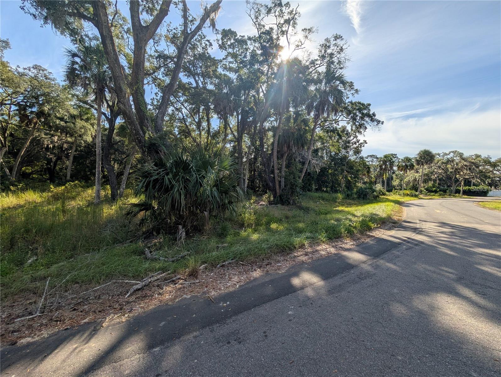 11009 N WITHLA BLUFF PT, INGLIS, FL, 34449