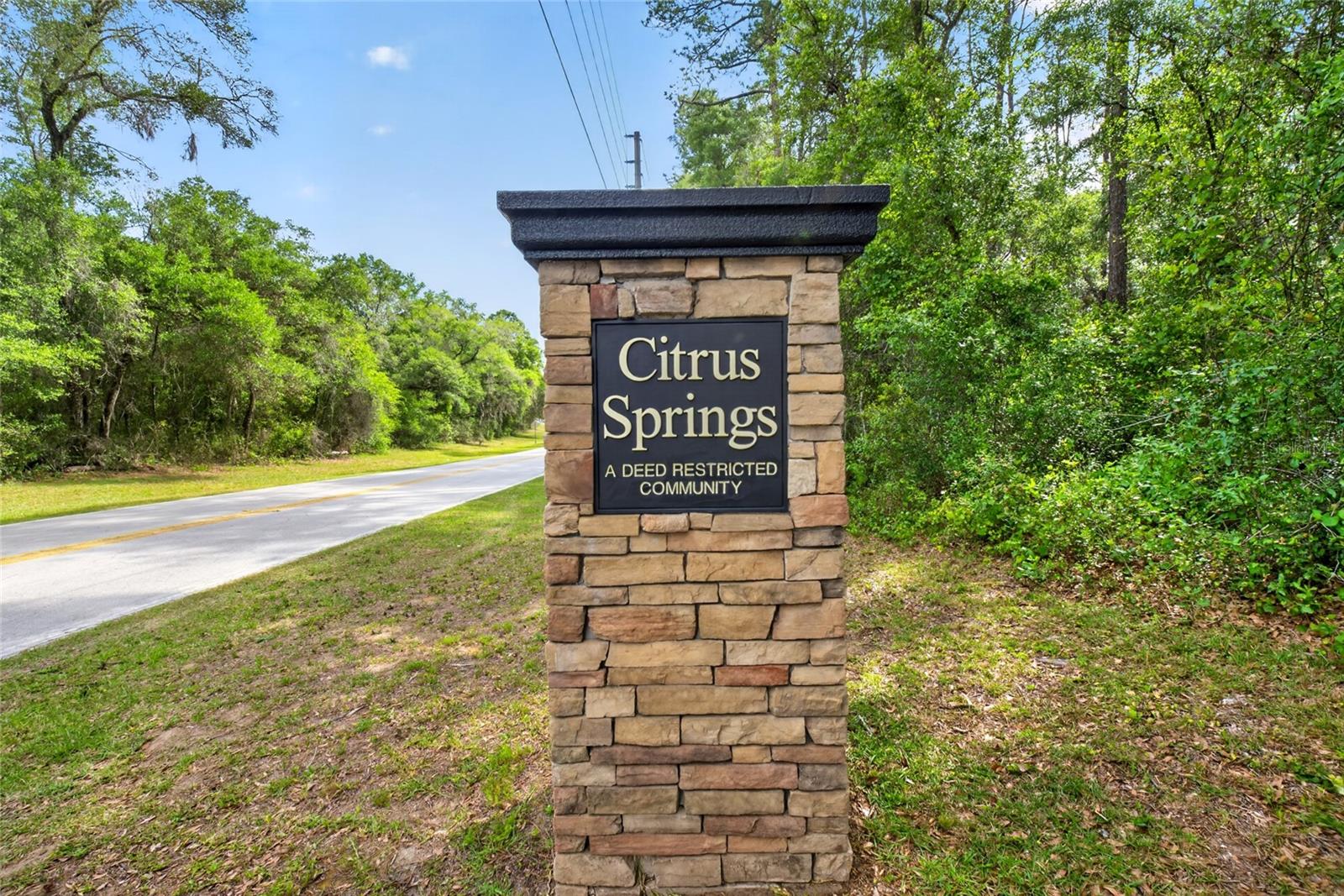 123 W CAMINO LN, CITRUS SPRINGS, FL, 34434
