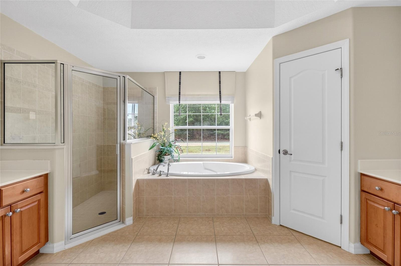 123 W CAMINO LN, CITRUS SPRINGS, FL, 34434