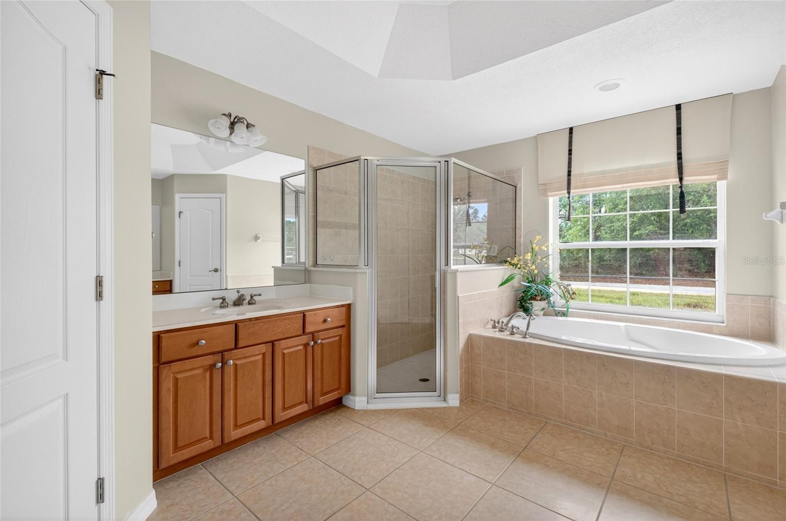 123 W CAMINO LN, CITRUS SPRINGS, FL, 34434