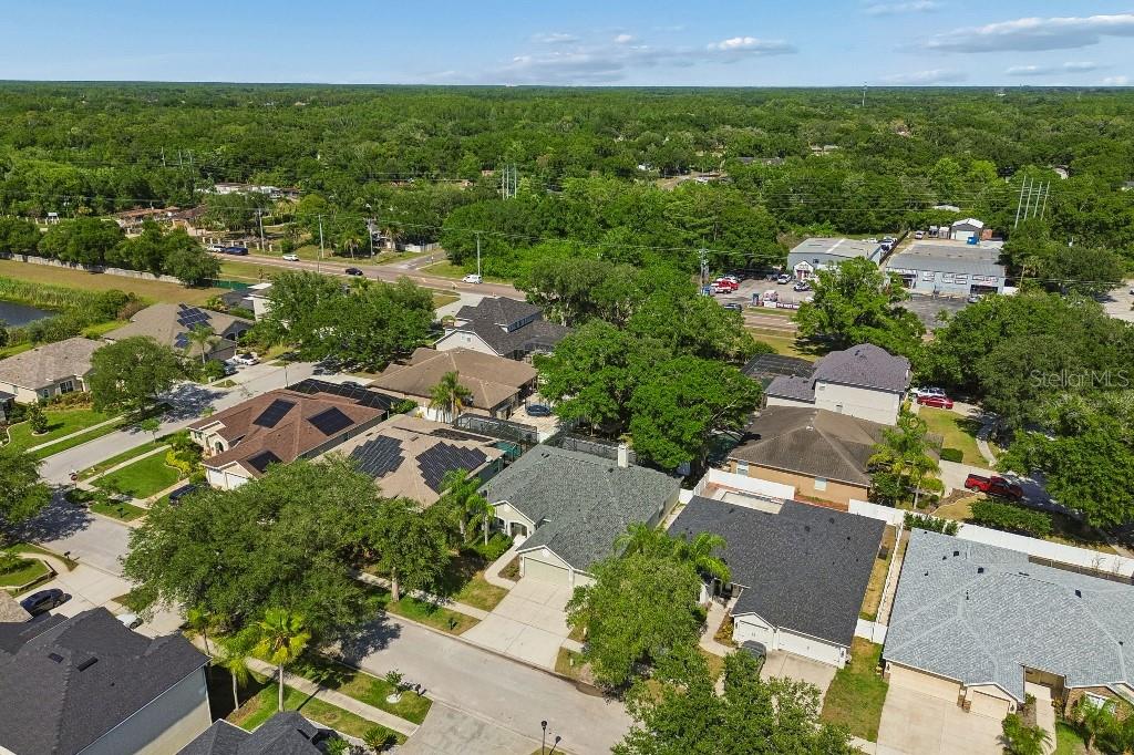 15217 OCTAVIA LN, ODESSA, FL, 33556