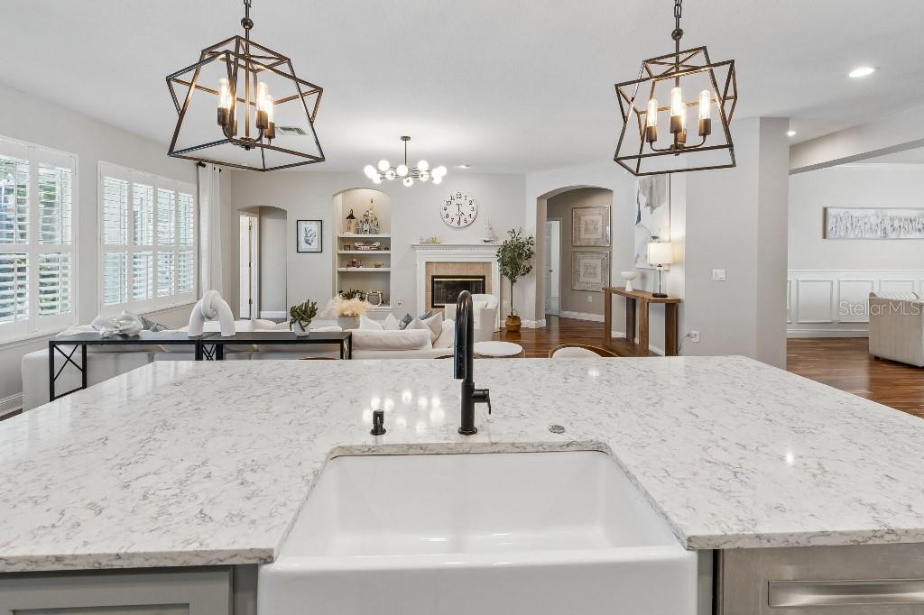 15217 OCTAVIA LN, ODESSA, FL, 33556
