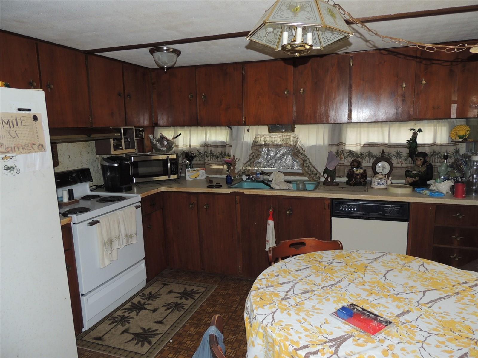 250 NE 131ST AVE, WILLISTON, FL, 32696