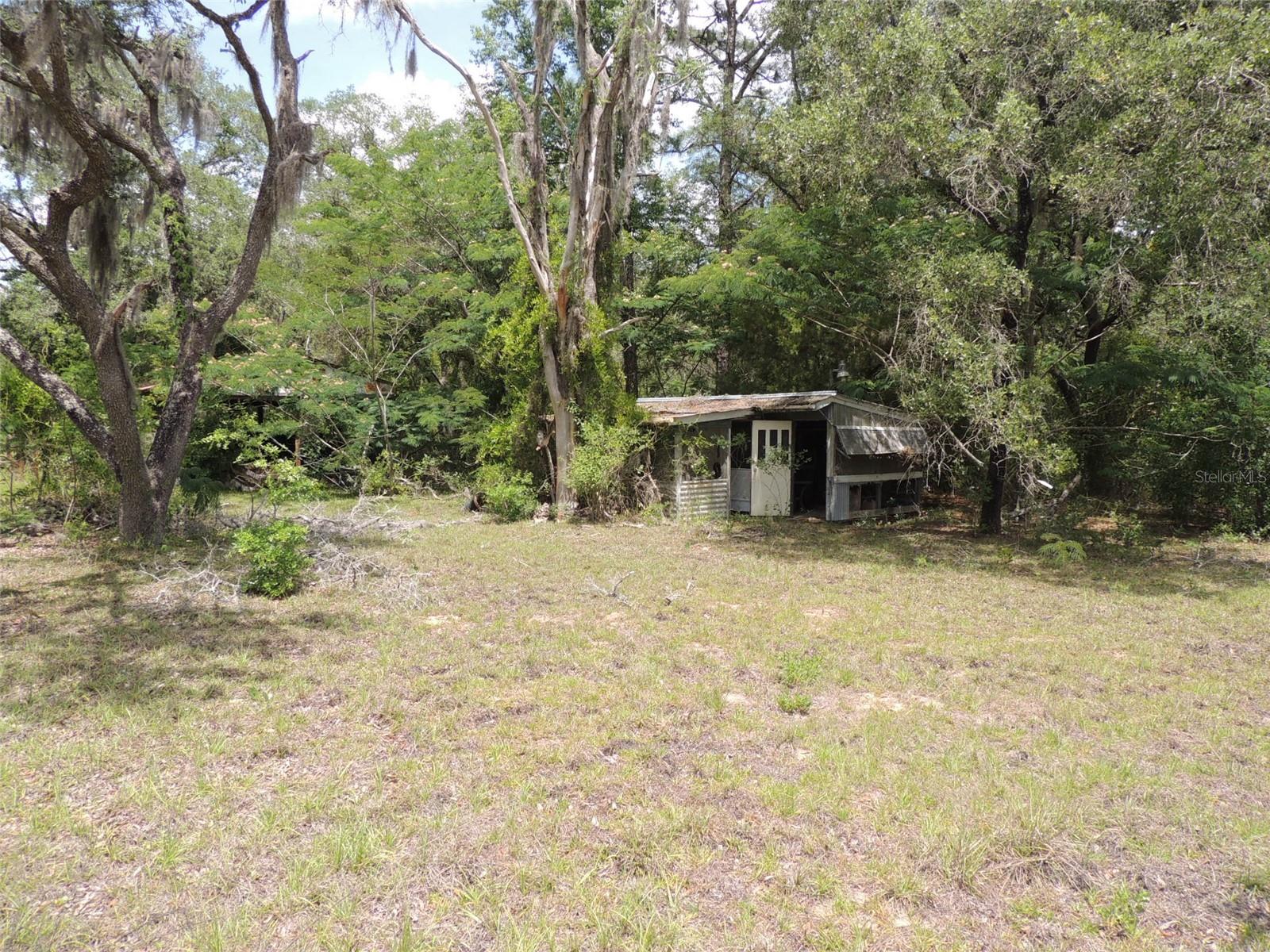 250 NE 131ST AVE, WILLISTON, FL, 32696
