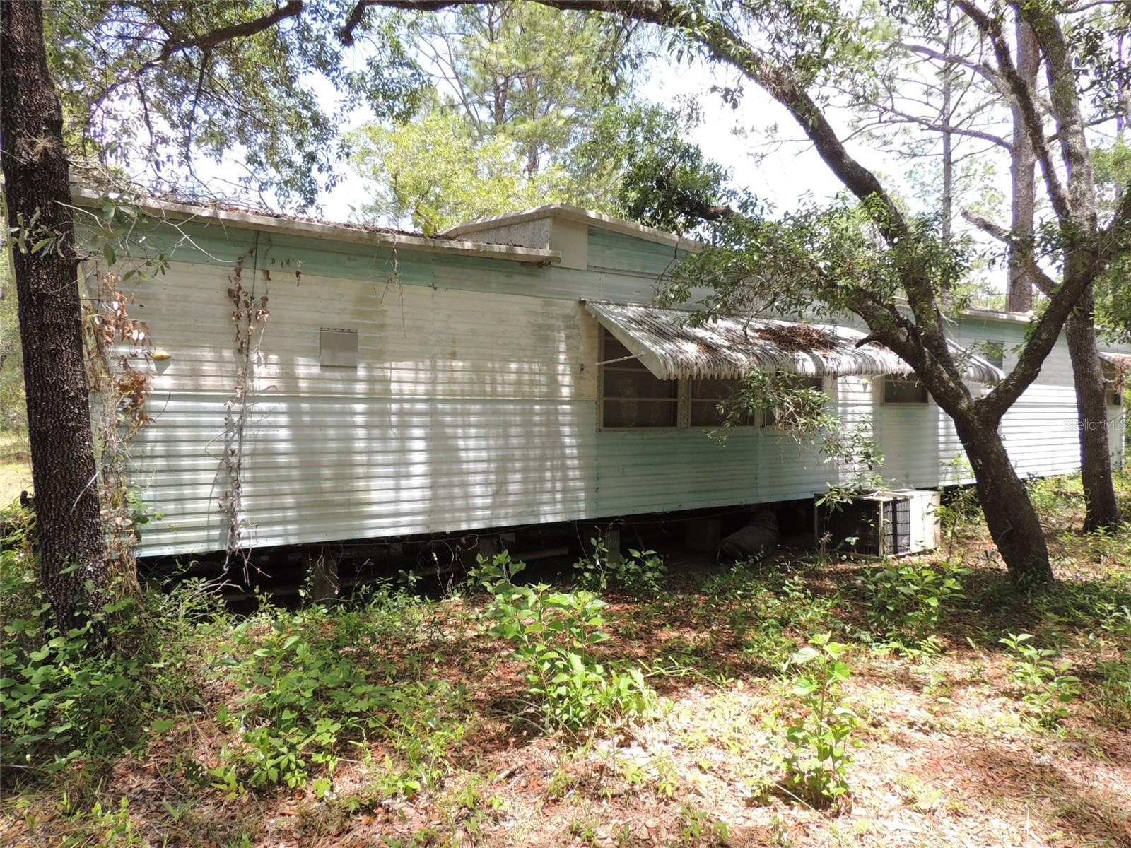 250 NE 131ST AVE, WILLISTON, FL, 32696